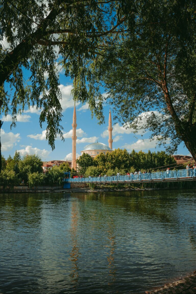 pexels-yunszyveli-19236081